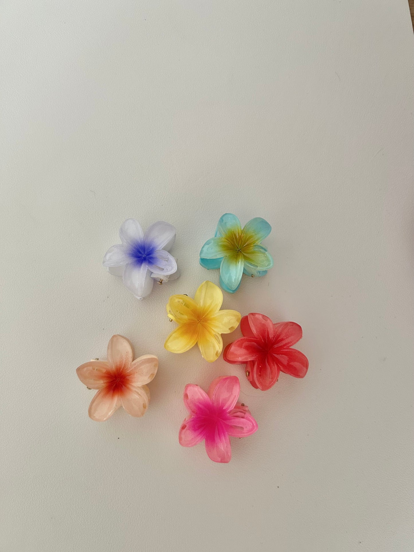 Haarklammer "Hibiskus" mini