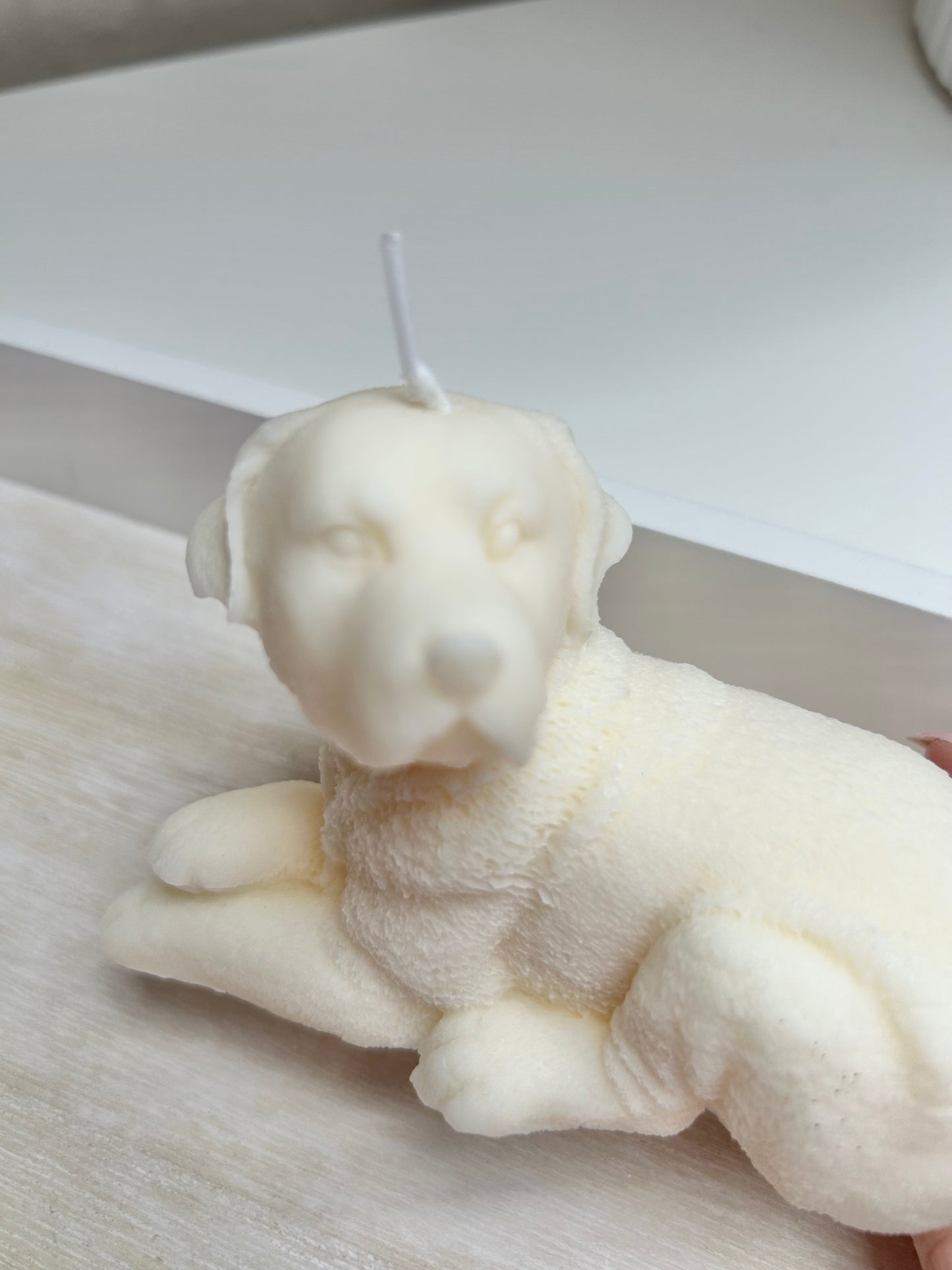 Aesthetic Kerze "Dog"