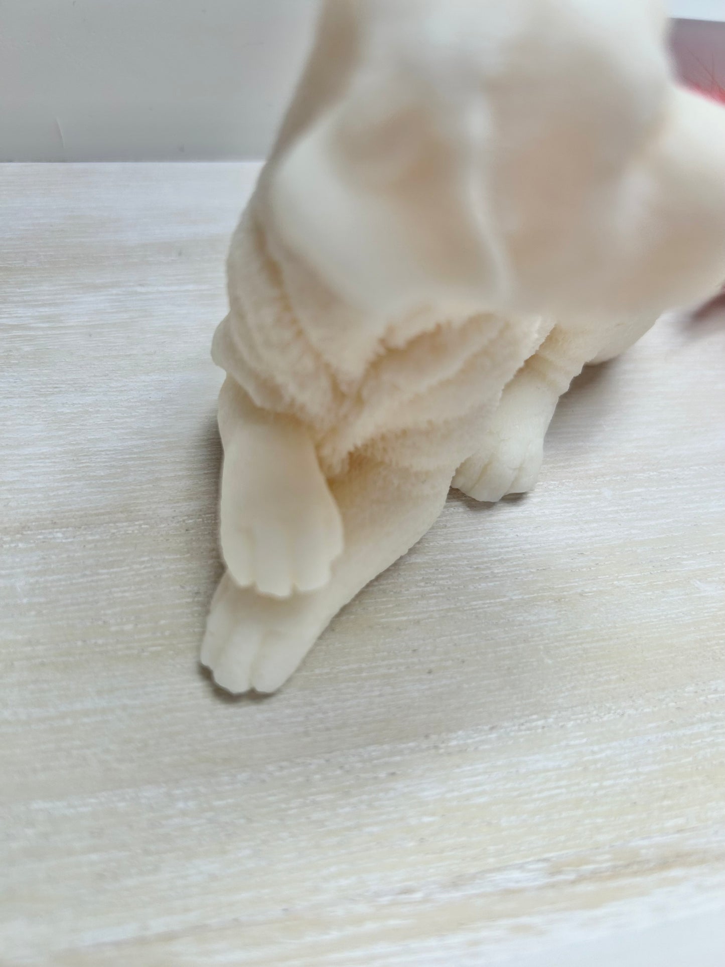 Aesthetic Kerze "Dog"